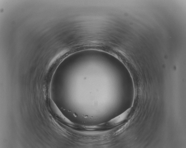 X0000063481402200601271643