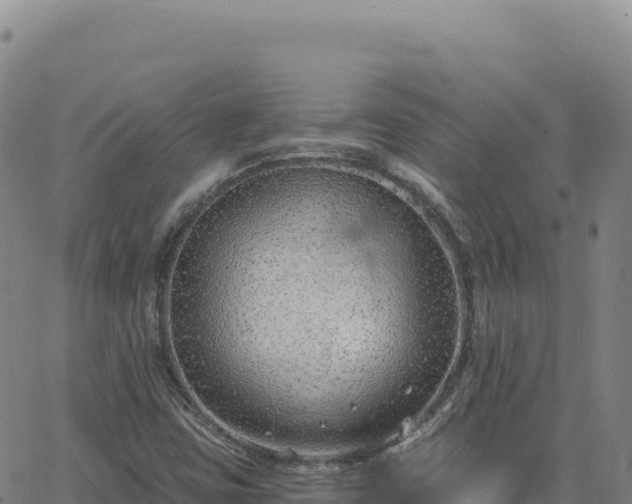 X0000063481403200601271643