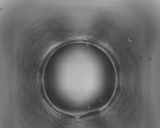 X0000063481404200601271643