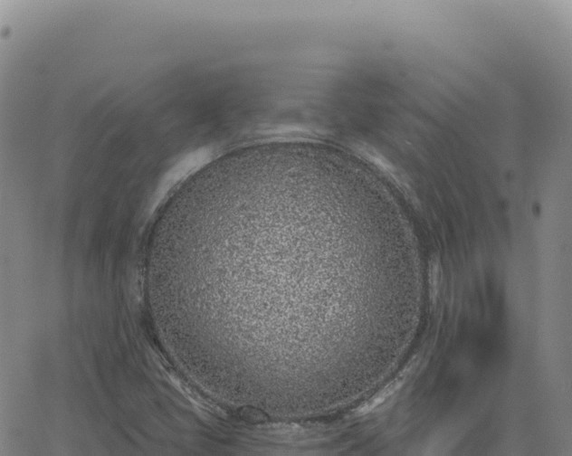 X0000063481405200601271643