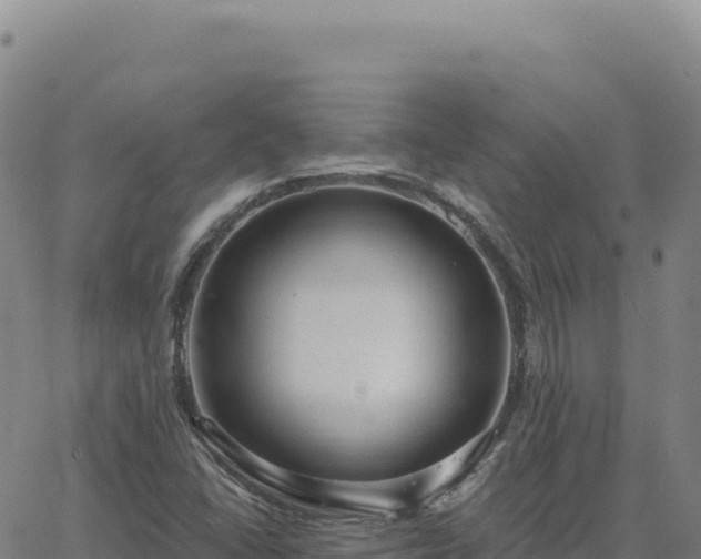 X0000063481406200601271643