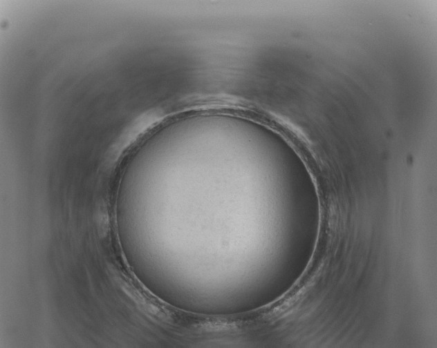 X0000063481407200601271643