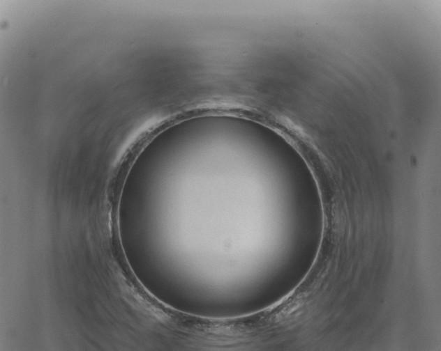 X0000063481408200601271643