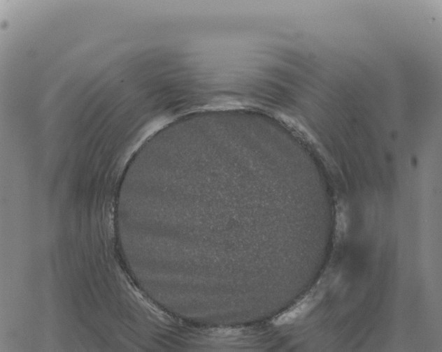 X0000063481409200601271643