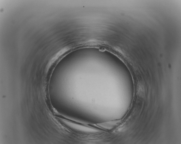 X0000063481410200601271643