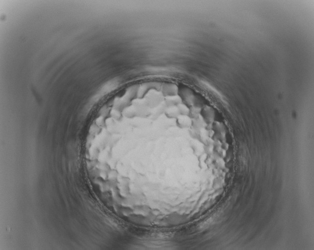 X0000063481411200601271643