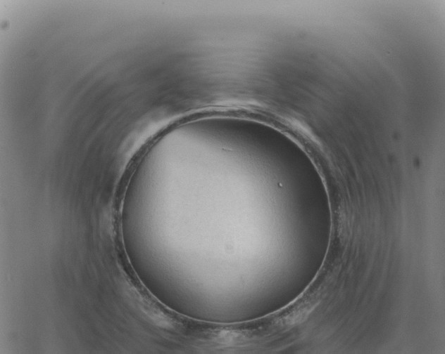 X0000063481412200601271643