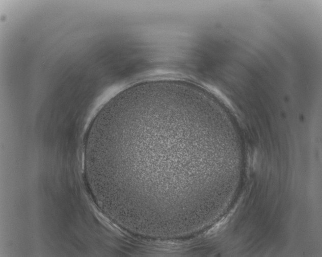 X0000063481413200601271643