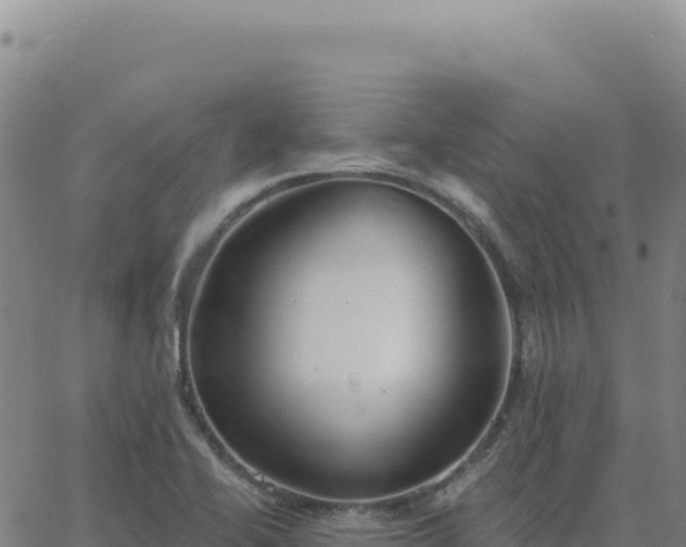 X0000063481414200601271643