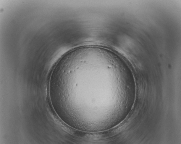 X0000063481415200601271643