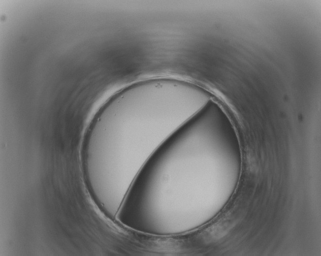 X0000063481416200601271643