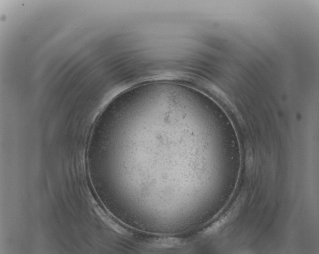 X0000063481417200601271643