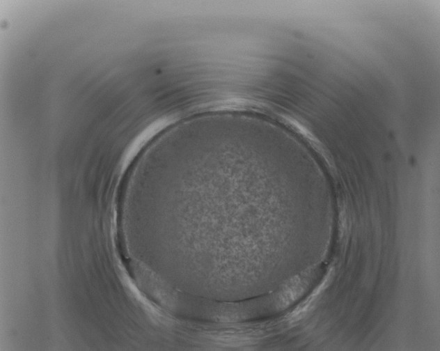 X0000063481418200601271643