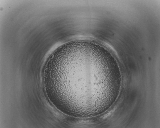 X0000063481419200601271643