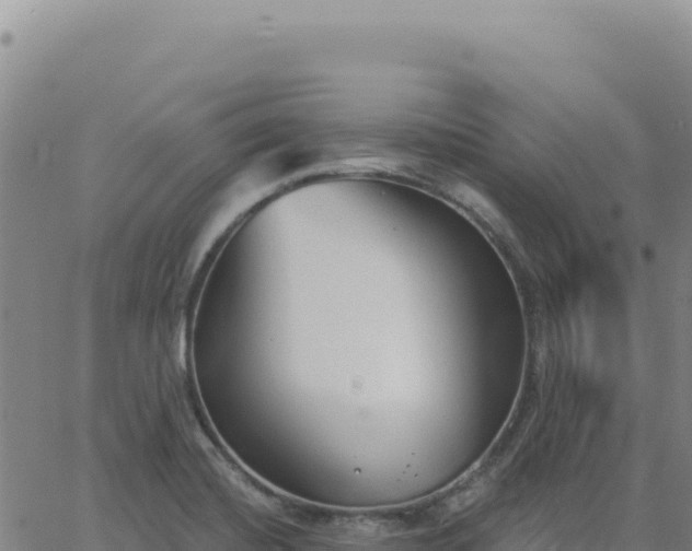 X0000063481420200601271643