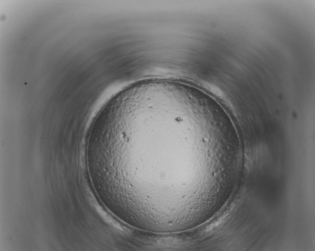 X0000063481421200601271643