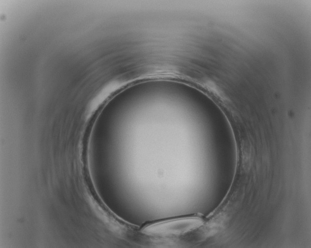 X0000063481422200601271643