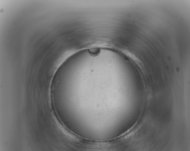 X0000063481423200601271643