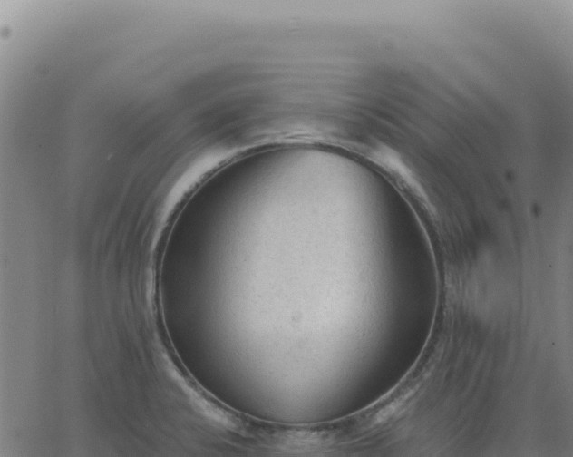 X0000063481424200601271643