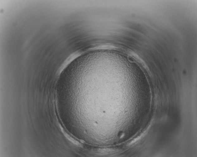 X0000063481425200601271643