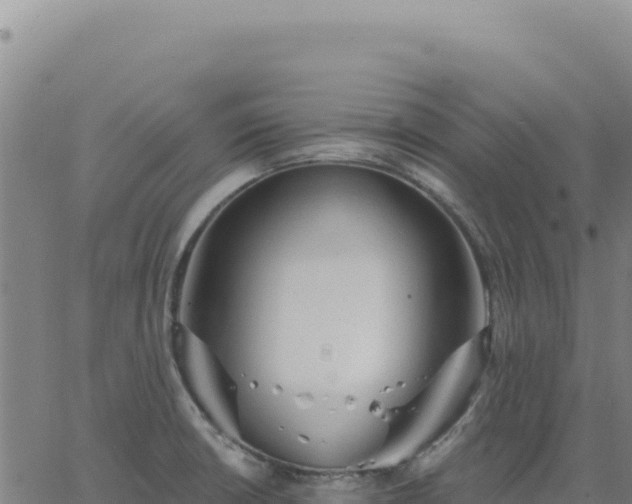 X0000063481426200601271643