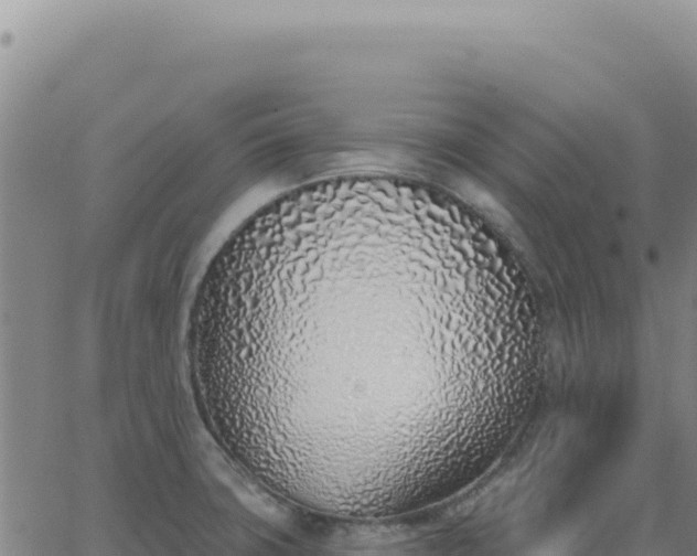 X0000063481427200601271643