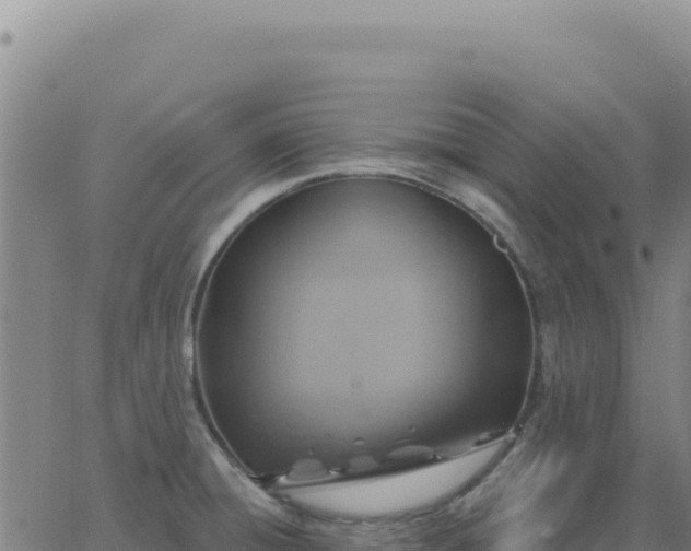 X0000063481428200601271643