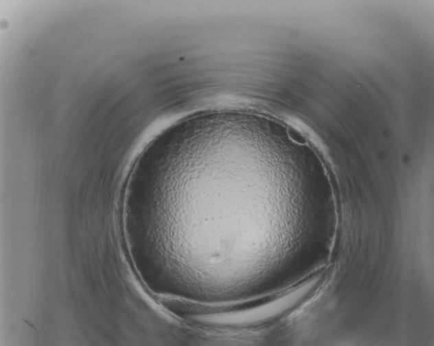 X0000063481429200601271643