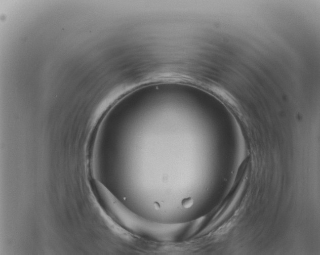 X0000063481430200601271643