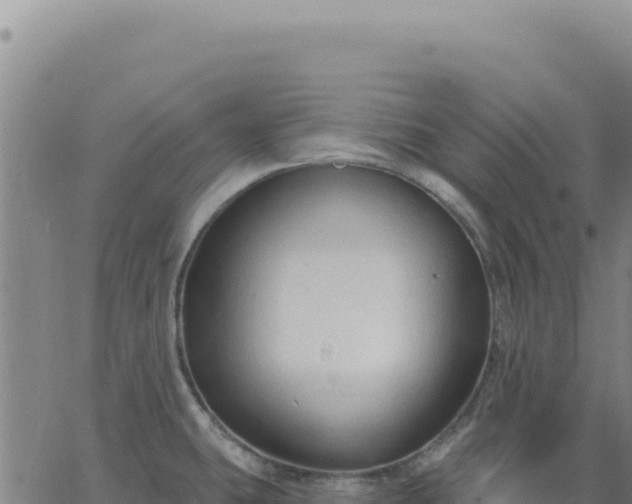 X0000063481431200601271643