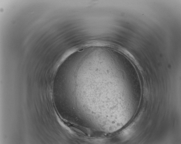 X0000063481433200601271643