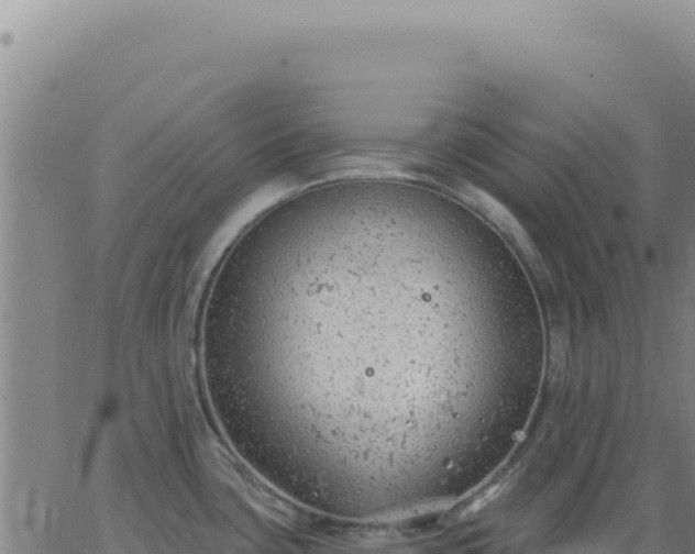 X0000063481435200601271643