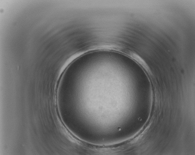 X0000063481436200601271643