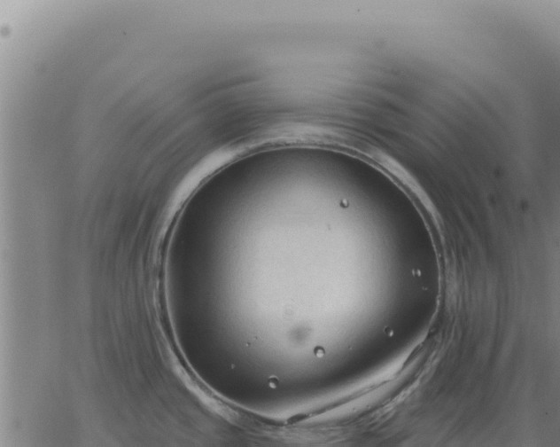 X0000063481437200601271643