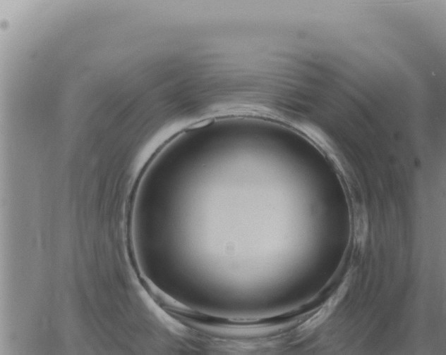 X0000063481438200601271643