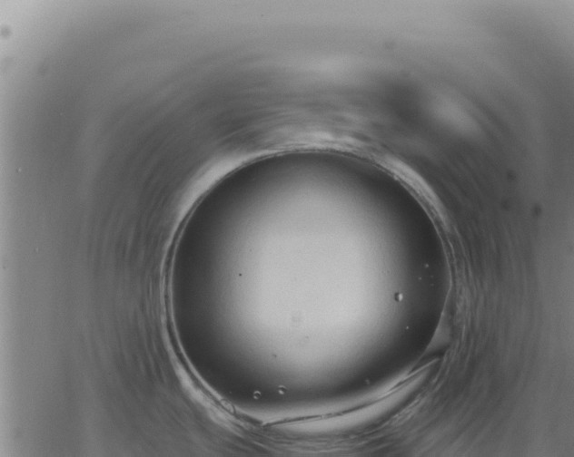 X0000063481439200601271644