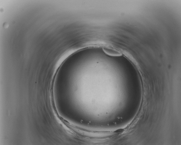 X0000063481440200601271644