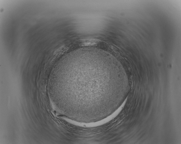 X0000063481441200601271643