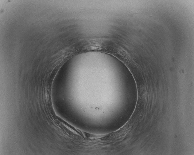 X0000063481442200601271643