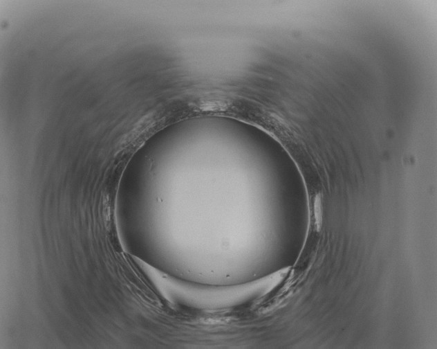 X0000063481443200601271643