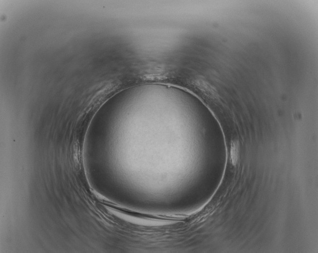 X0000063481444200601271643