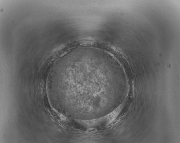 X0000063481445200601271643