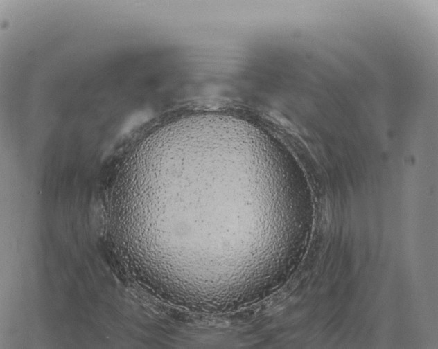 X0000063481446200601271643