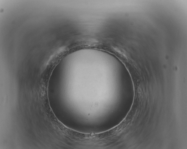 X0000063481447200601271643