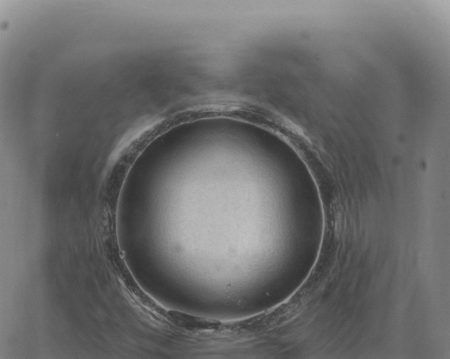 X0000063481448200601271643