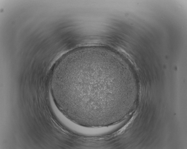 X0000063481449200601271643