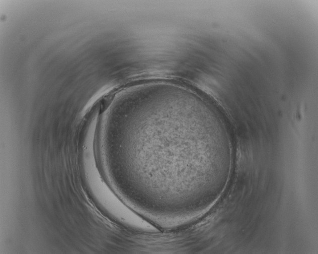 X0000063481450200601271643