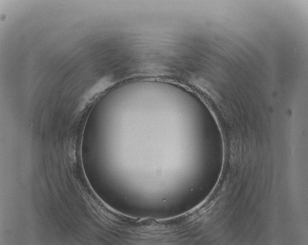 X0000063481451200601271643