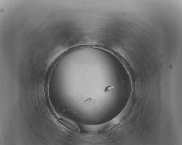 X0000063481452200601271643