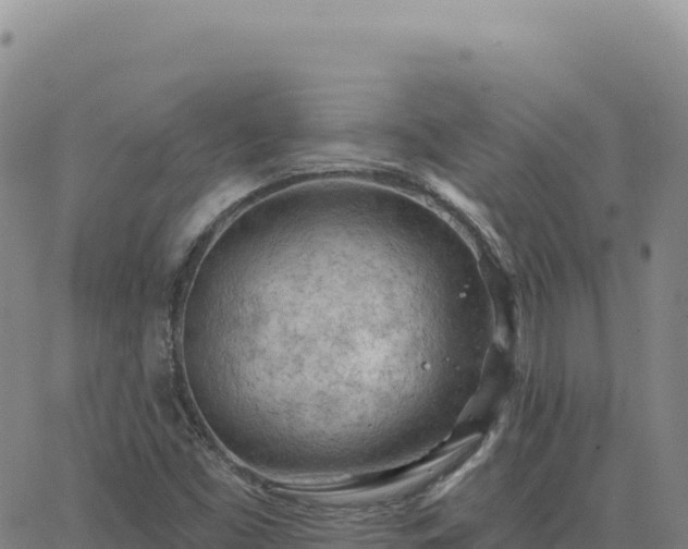 X0000063481453200601271643